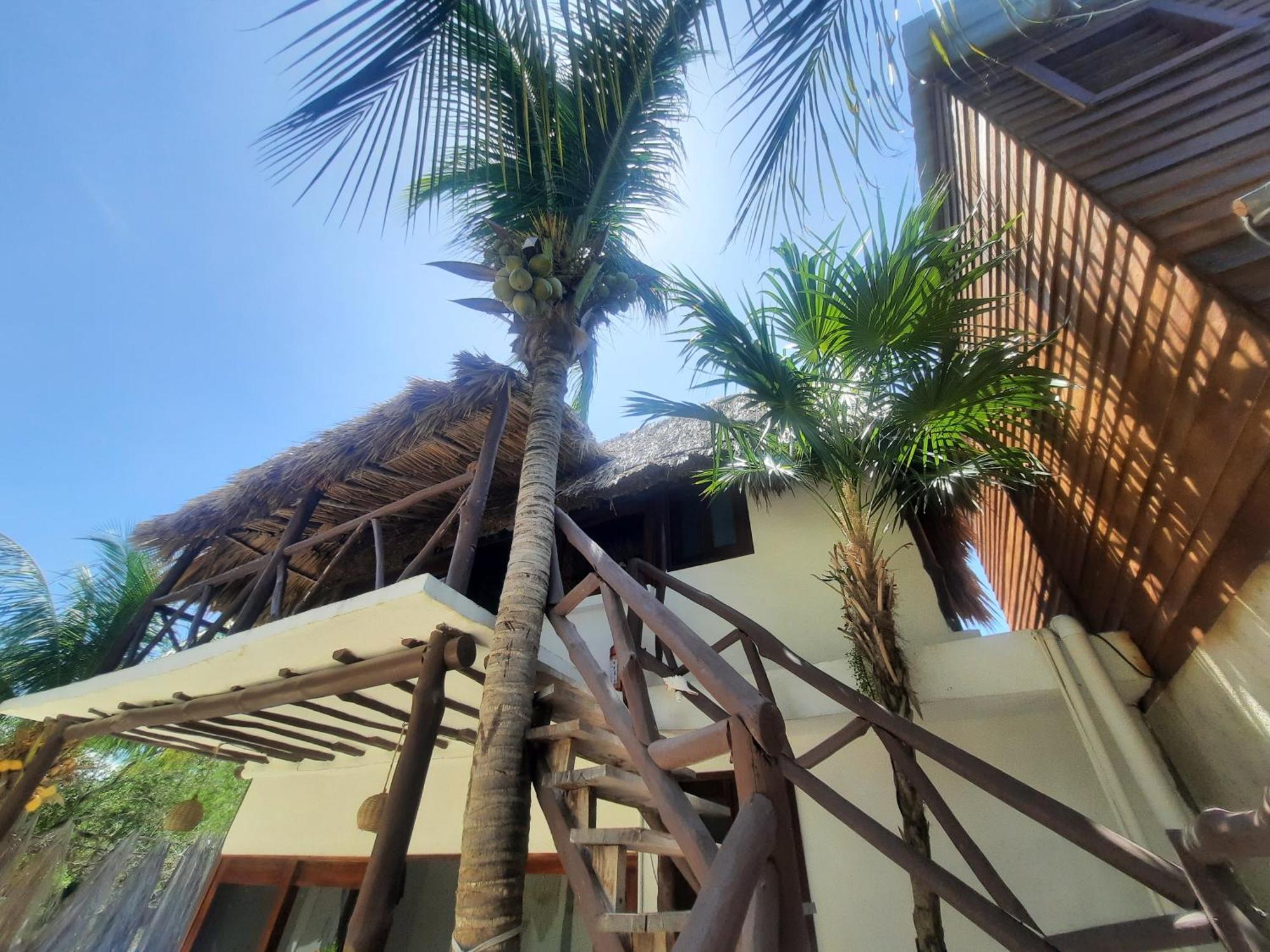 Casa Sofia Holboxアパートホテル エクステリア 写真